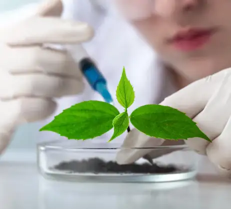 M.B. Natural Products Quality Assurance